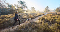 Non-Stop Dogwear Trail Light Belt